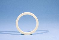 Advanced Electronic Ceramic Ring for semiconductor